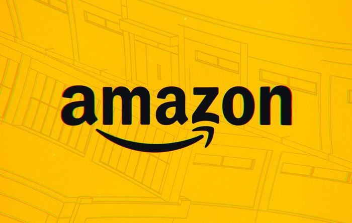 Amazonda minimum sərmayə ilə maksimum pul qazanmağın yolları