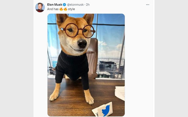 İlon Mask iti “Twitter”in baş direktoru təyin edib